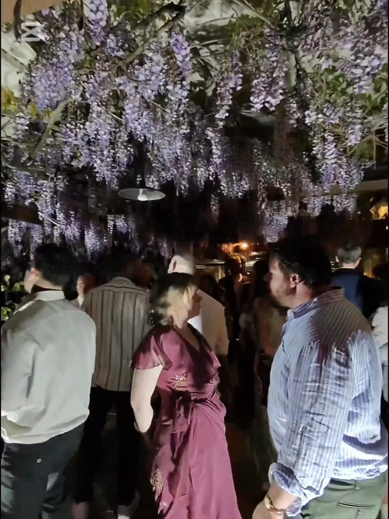 Trio Toscano - Live Wedding 2025 - video