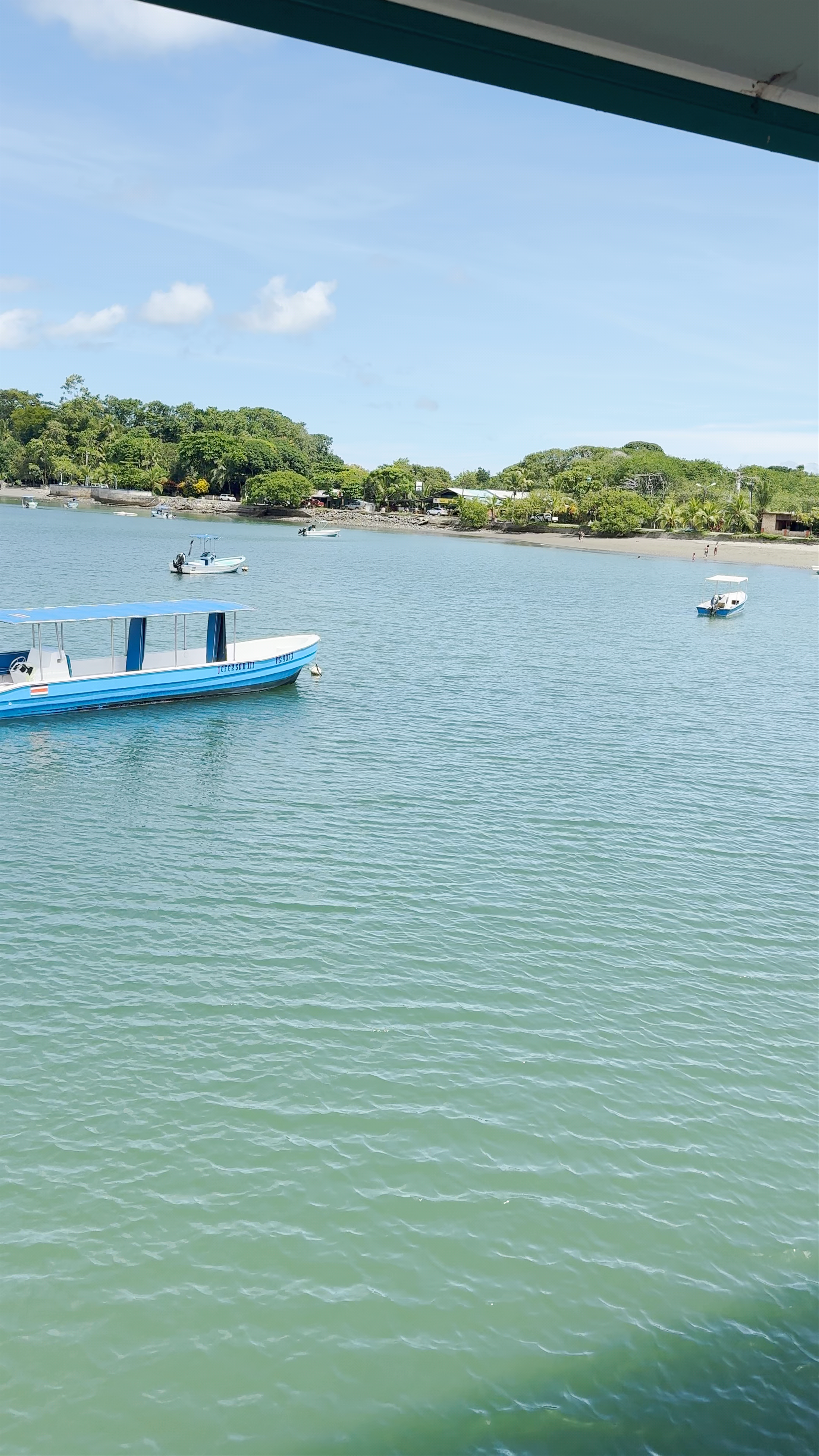 Muelle Puerto Jiménez - Publico