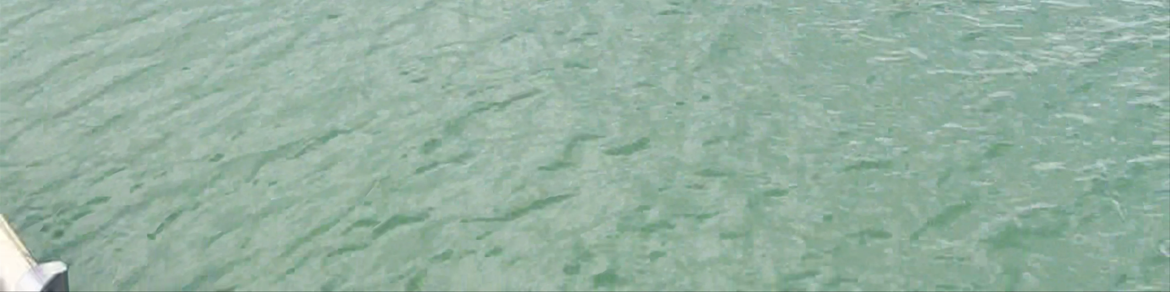Muelle Puerto Jiménez - Publico