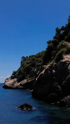 Amante Ibiza