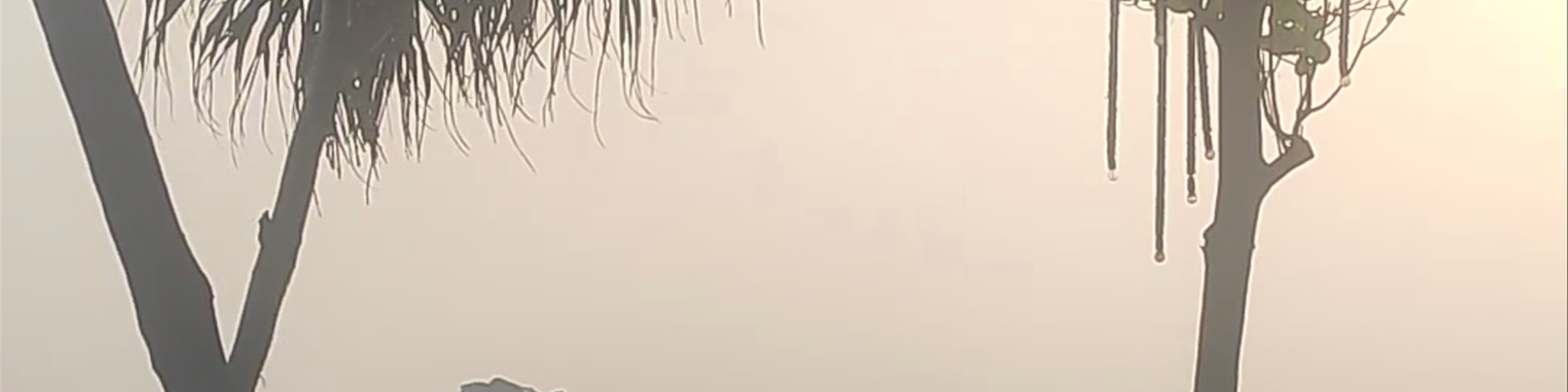 Matara