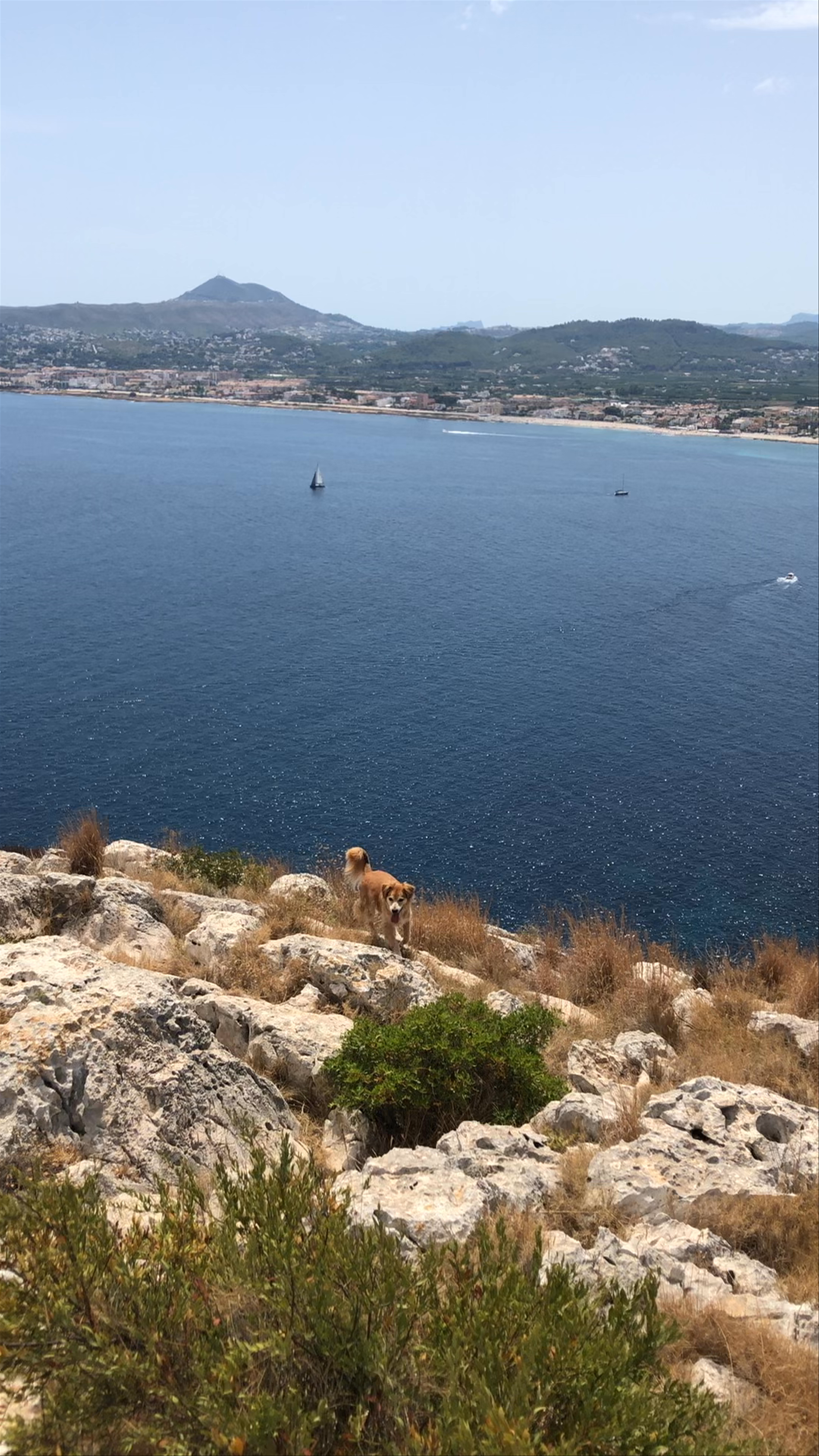 Cabo de San Antonio