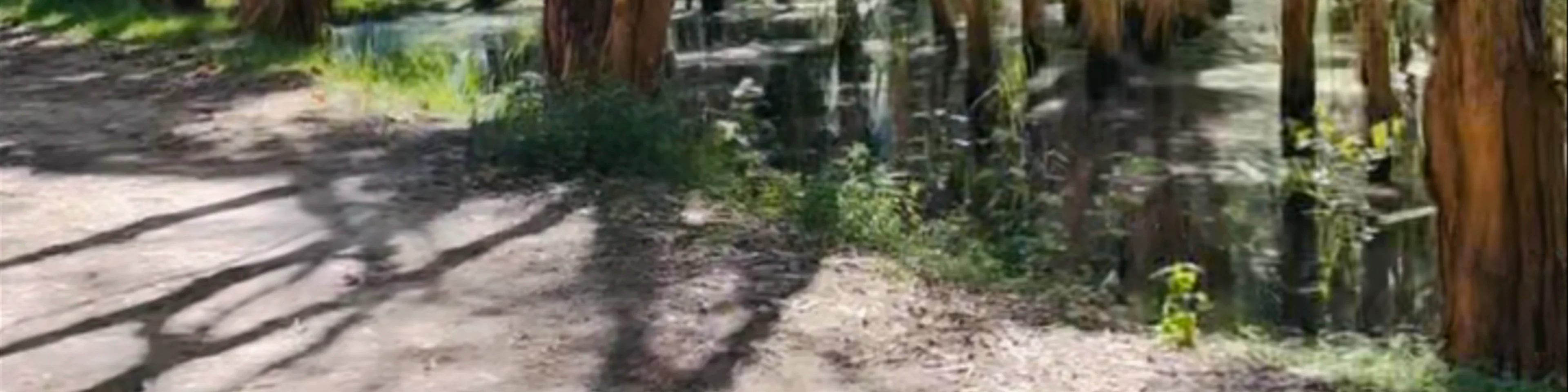 Coombabah Lake Conservation Park