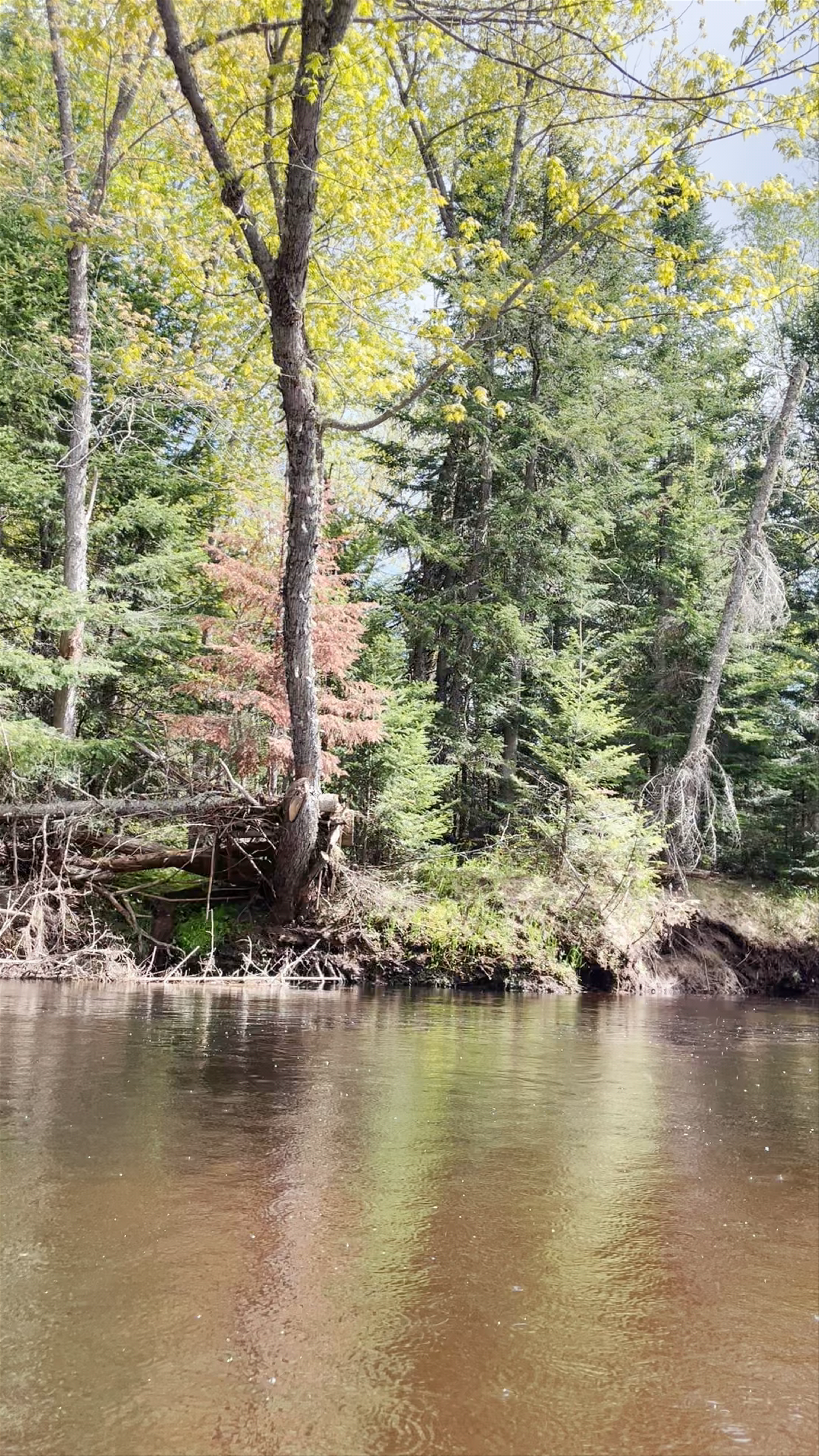 Rivière du Diable