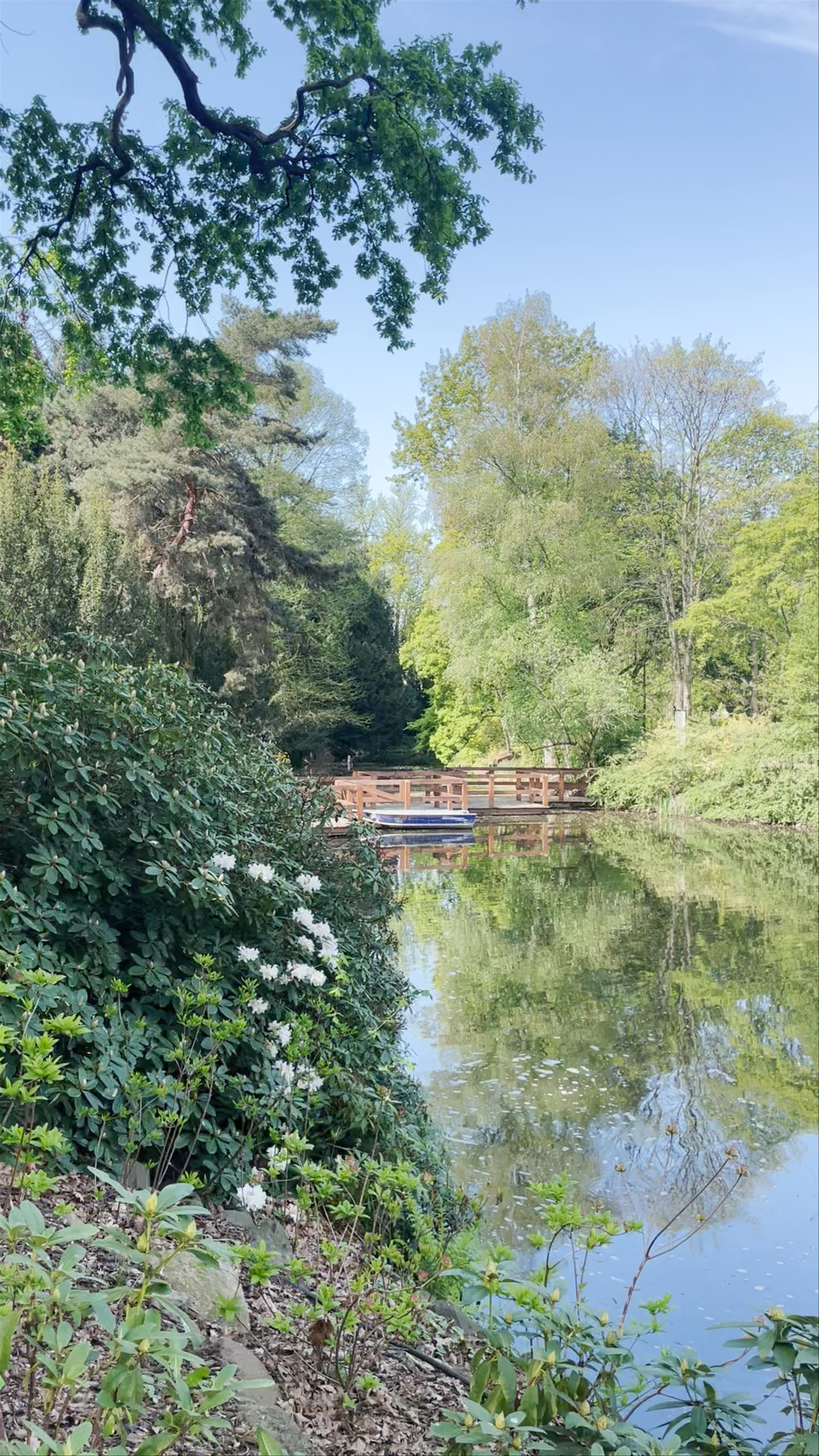 Botanical Garden of the University of Wrocław: A Serene Urban Oasis in Spring