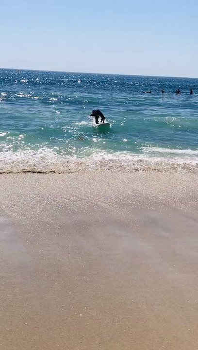 DanSurf - 10-year old Anais - Surfing Near Me