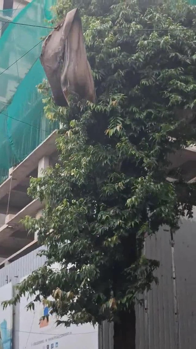 Should this be reported?!
