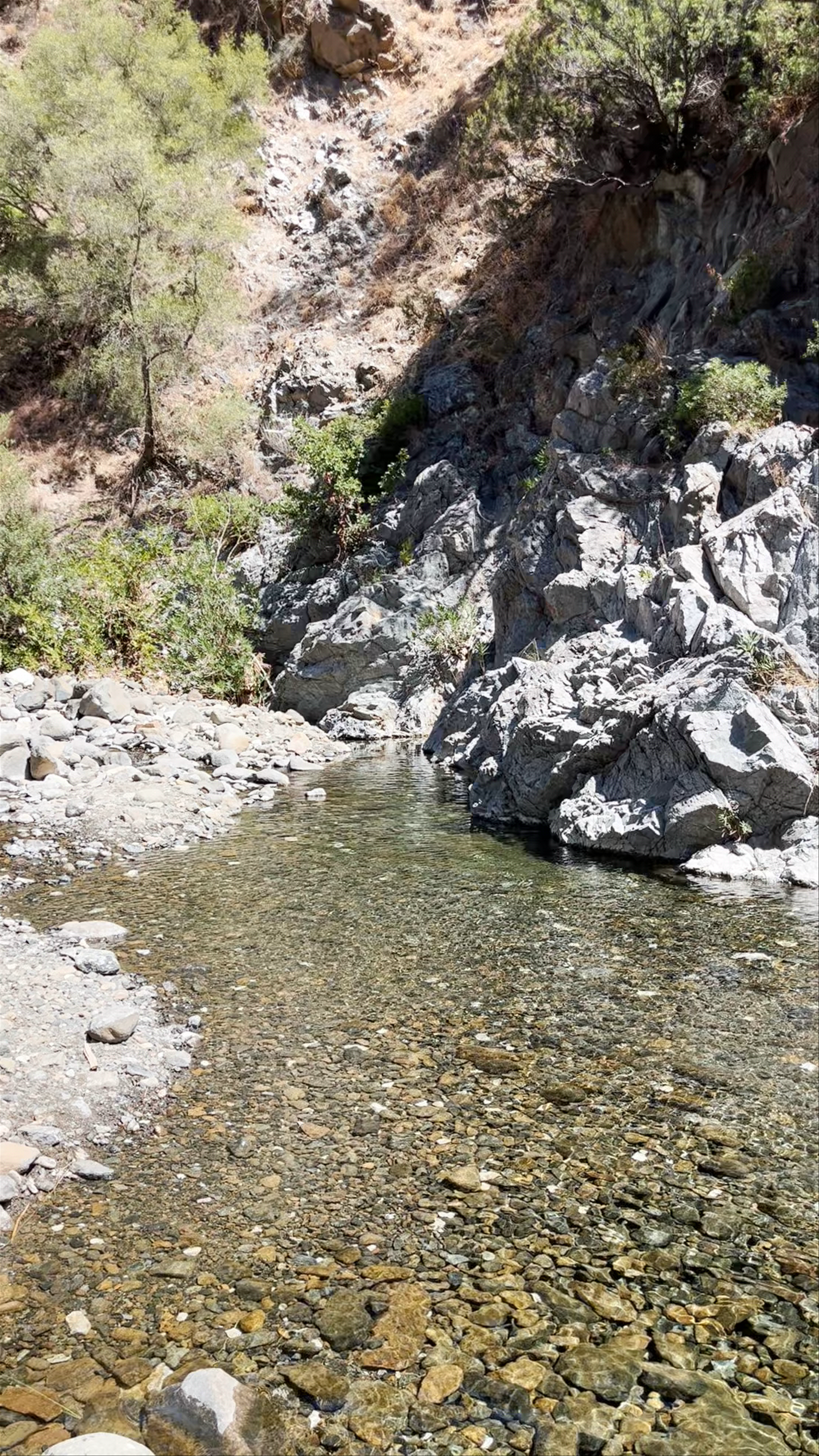 Charca de las Nutrias