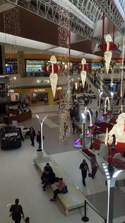 Galerías Monterrey - Los osos bear - Shopping Centers Near Me - Monterrey, NLE
