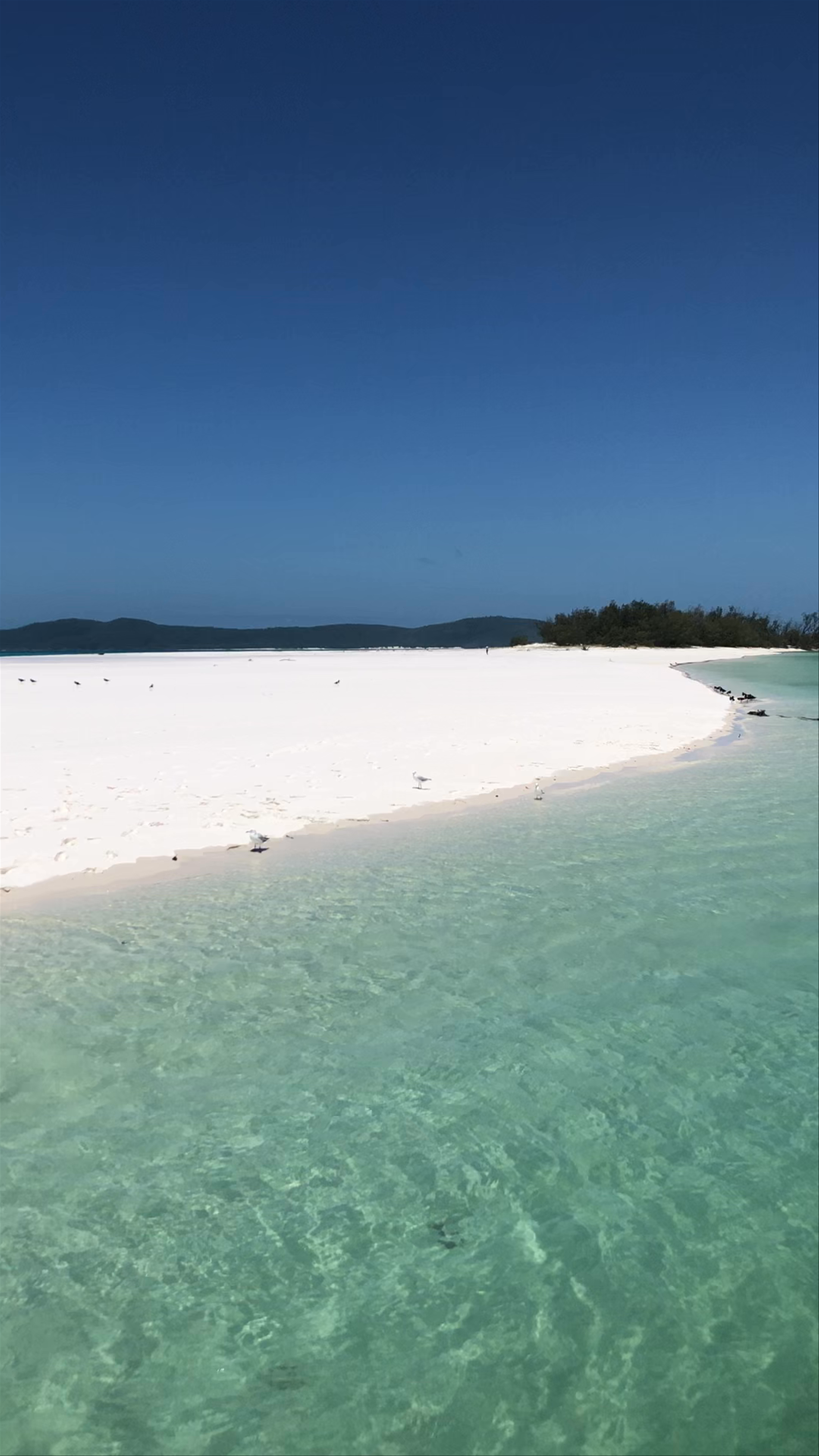 Whitehaven Beach
