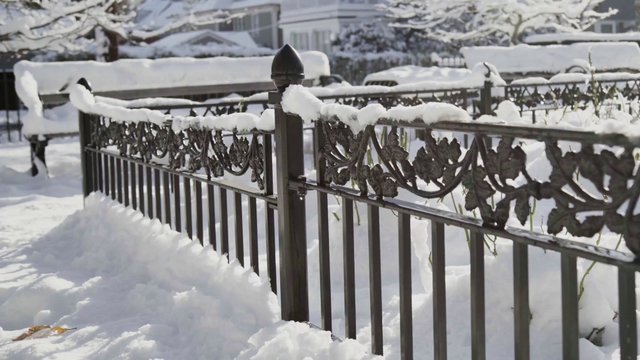 Snow covering a fence