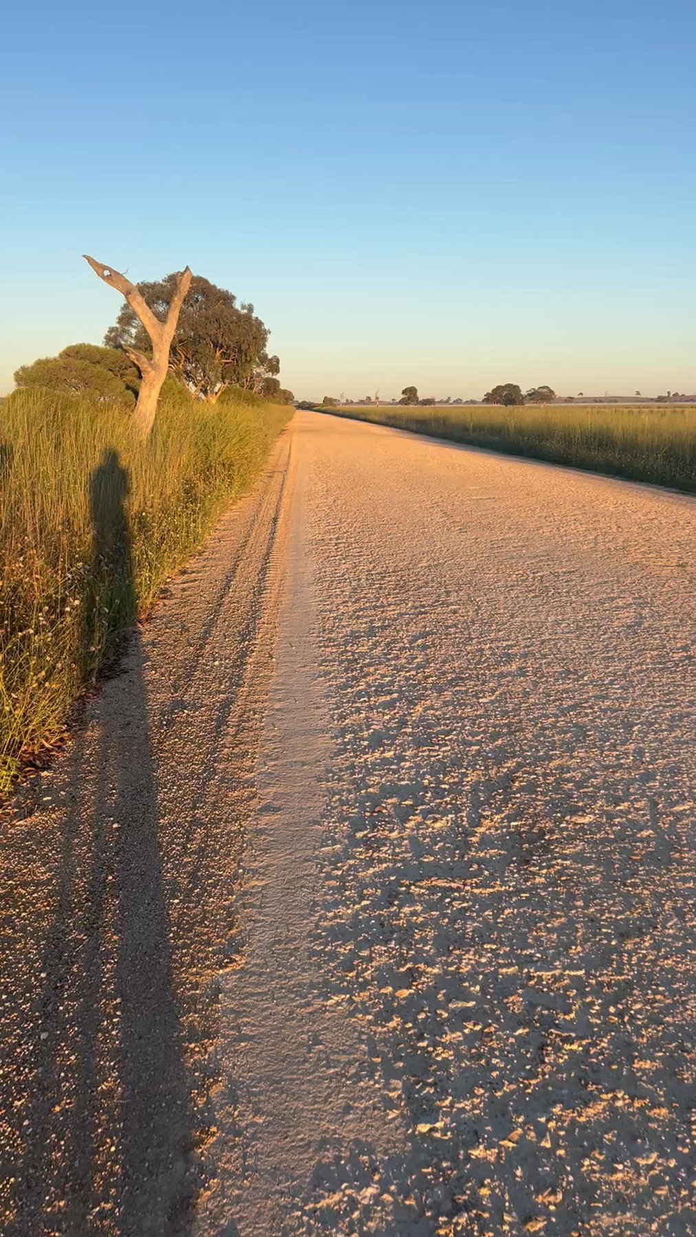 311 9 Km Ride Activity On January 12 2024 By Mitch D On Strava 311 9 Km Ride Activity On January 12 2024 By Mitch D On Strava