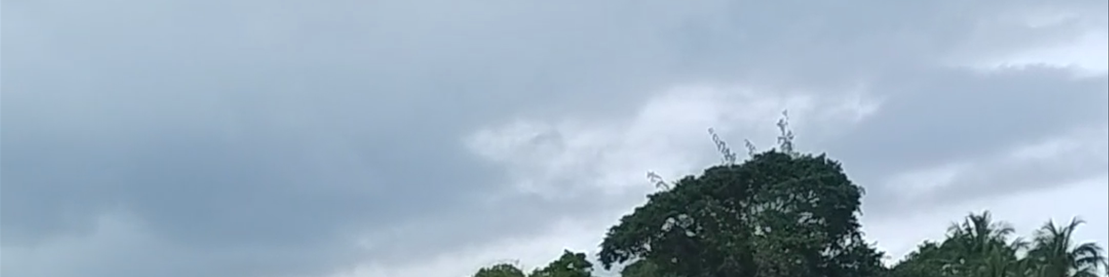 Guadeloupe