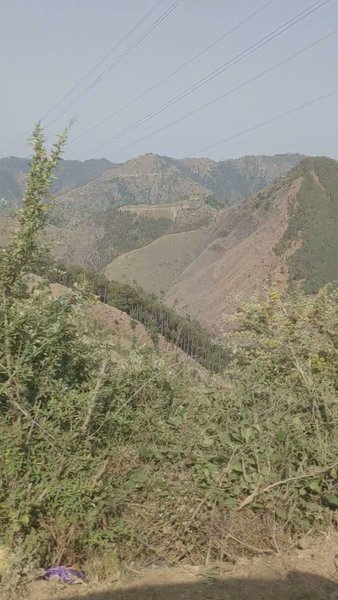 Photo of Jispa valley