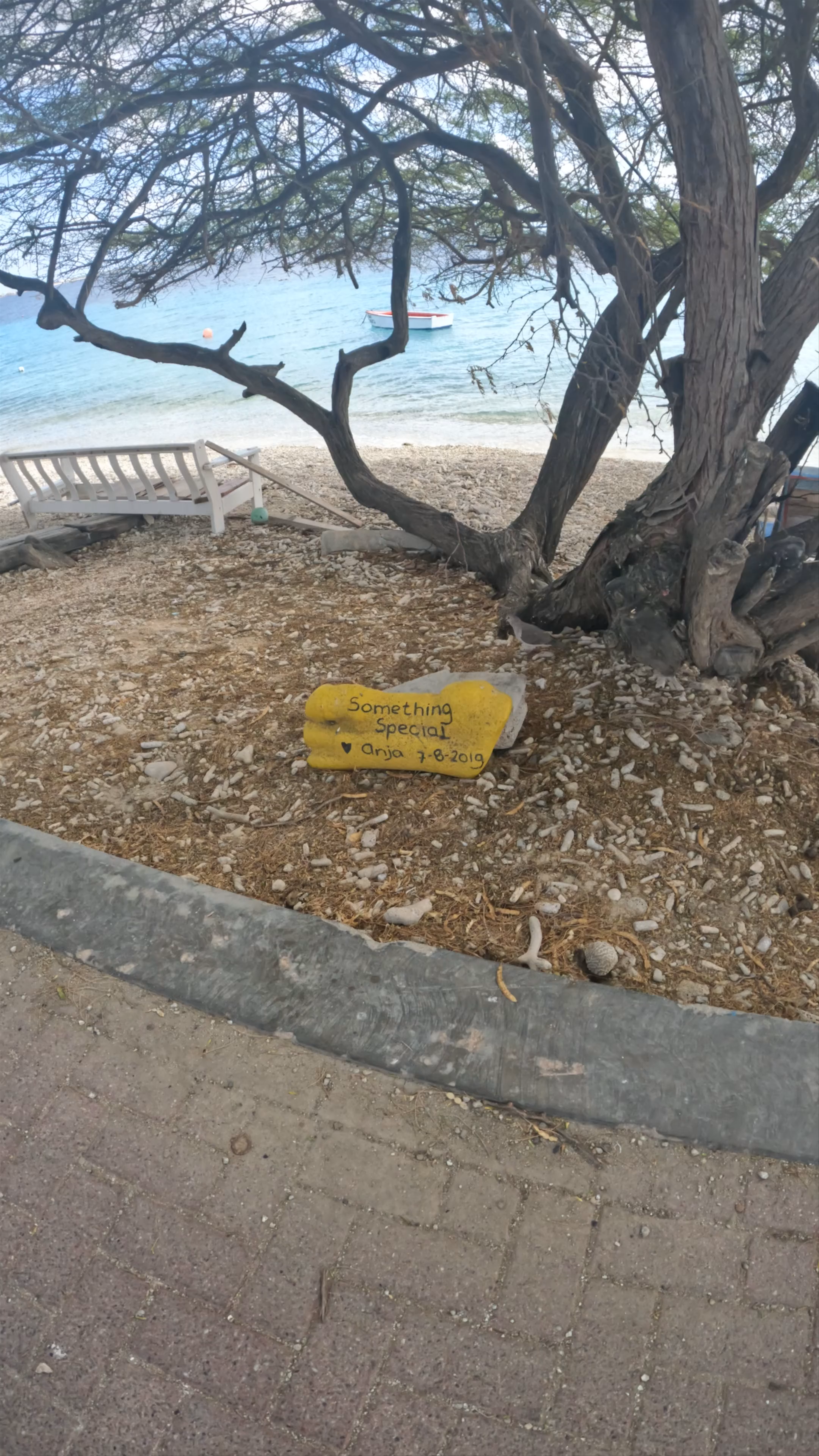 Something Special (32)