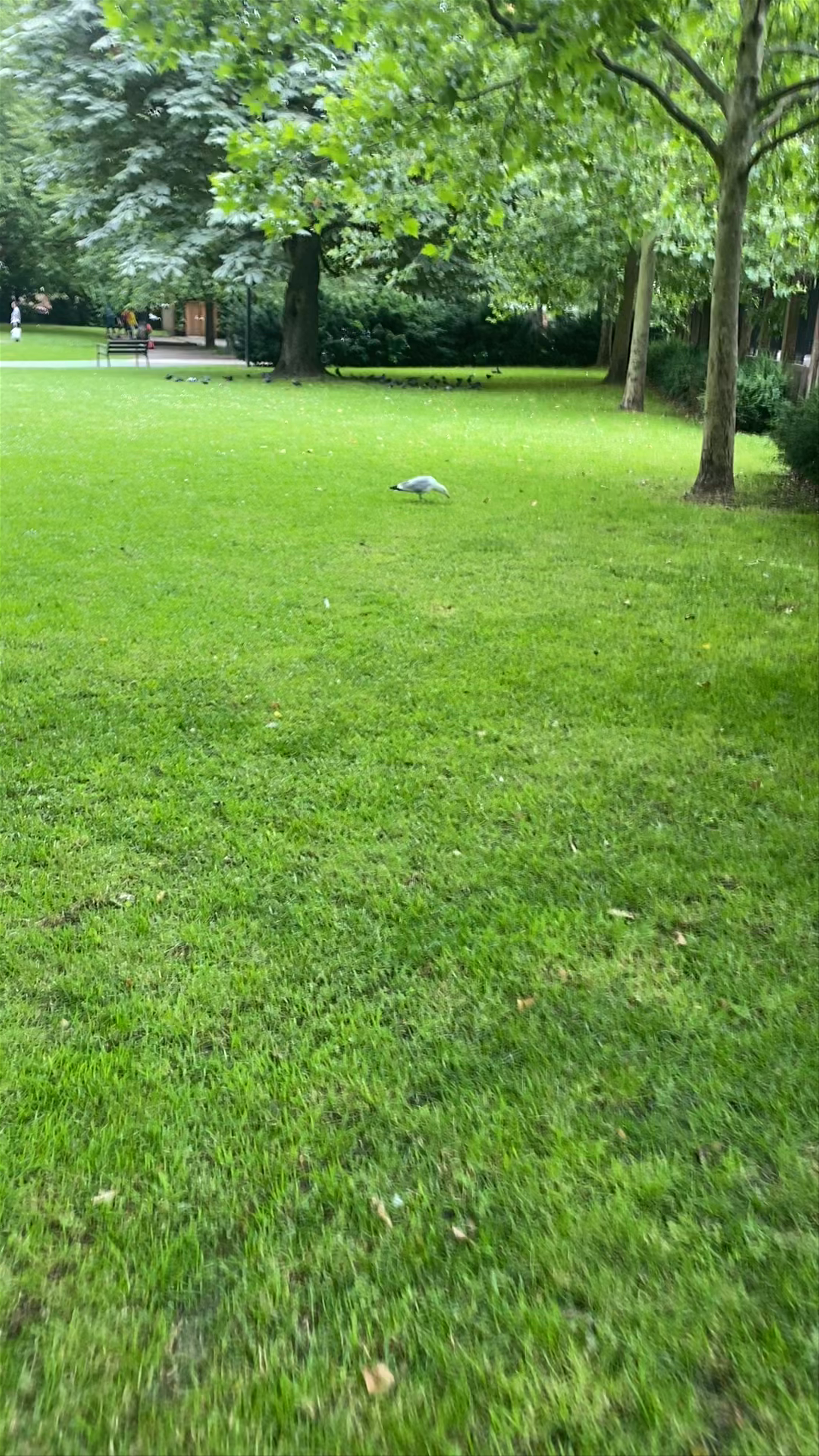 St. John's Churchyard