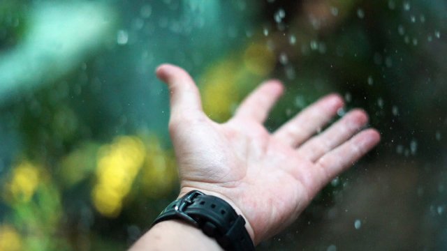 Raindrops falling on a hand