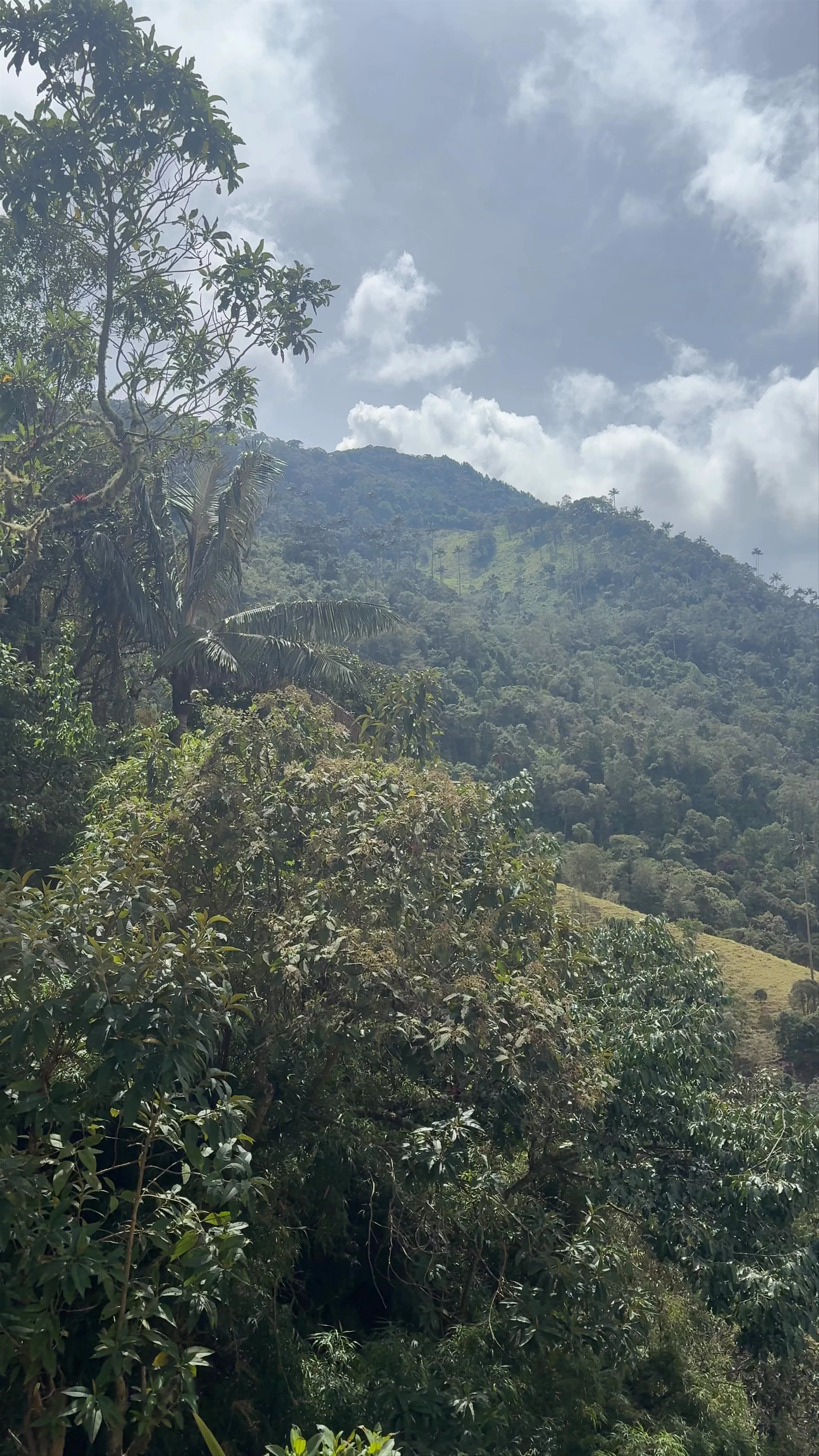 Morrogacho Mountain
