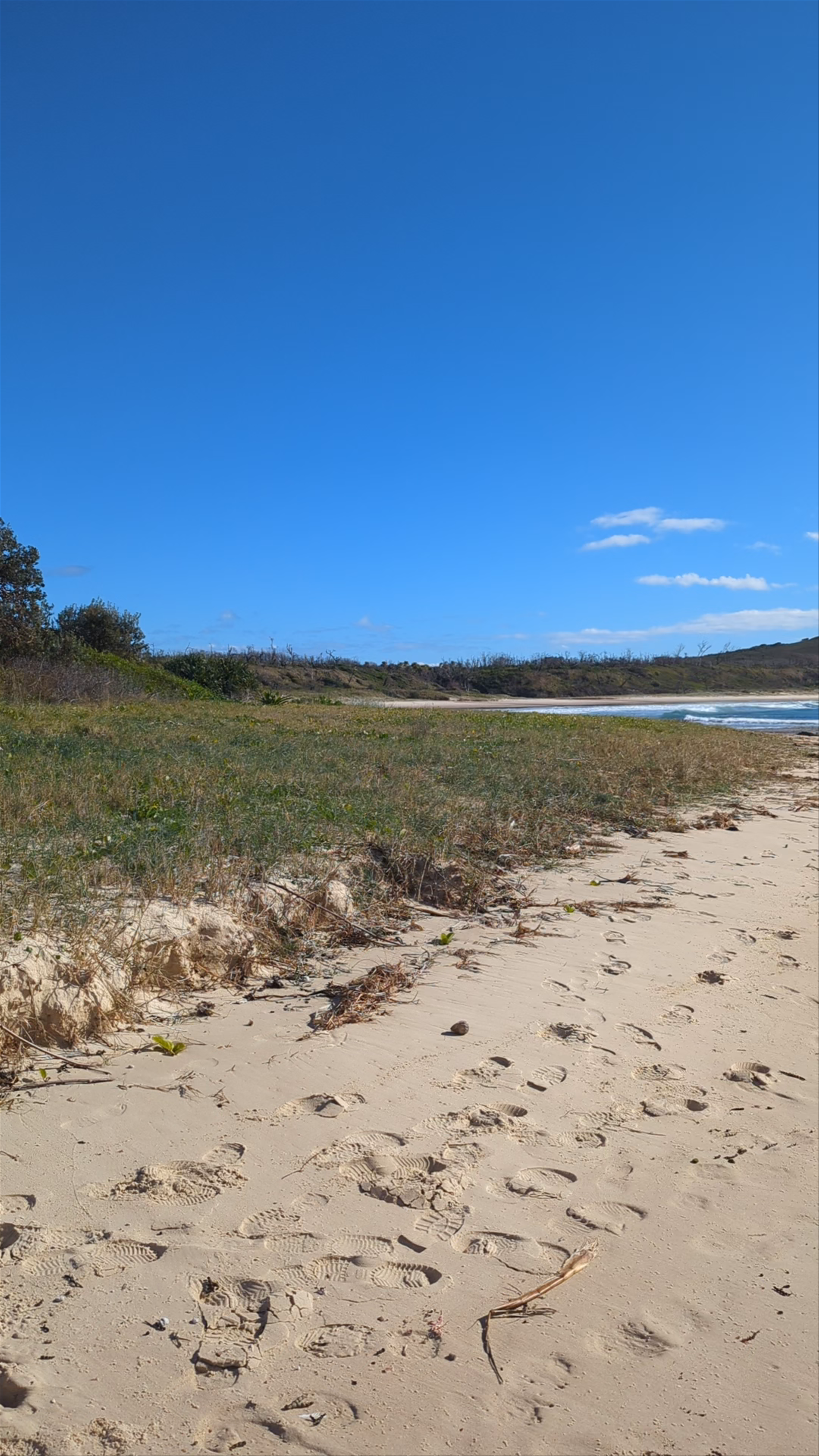 Shelly Beach