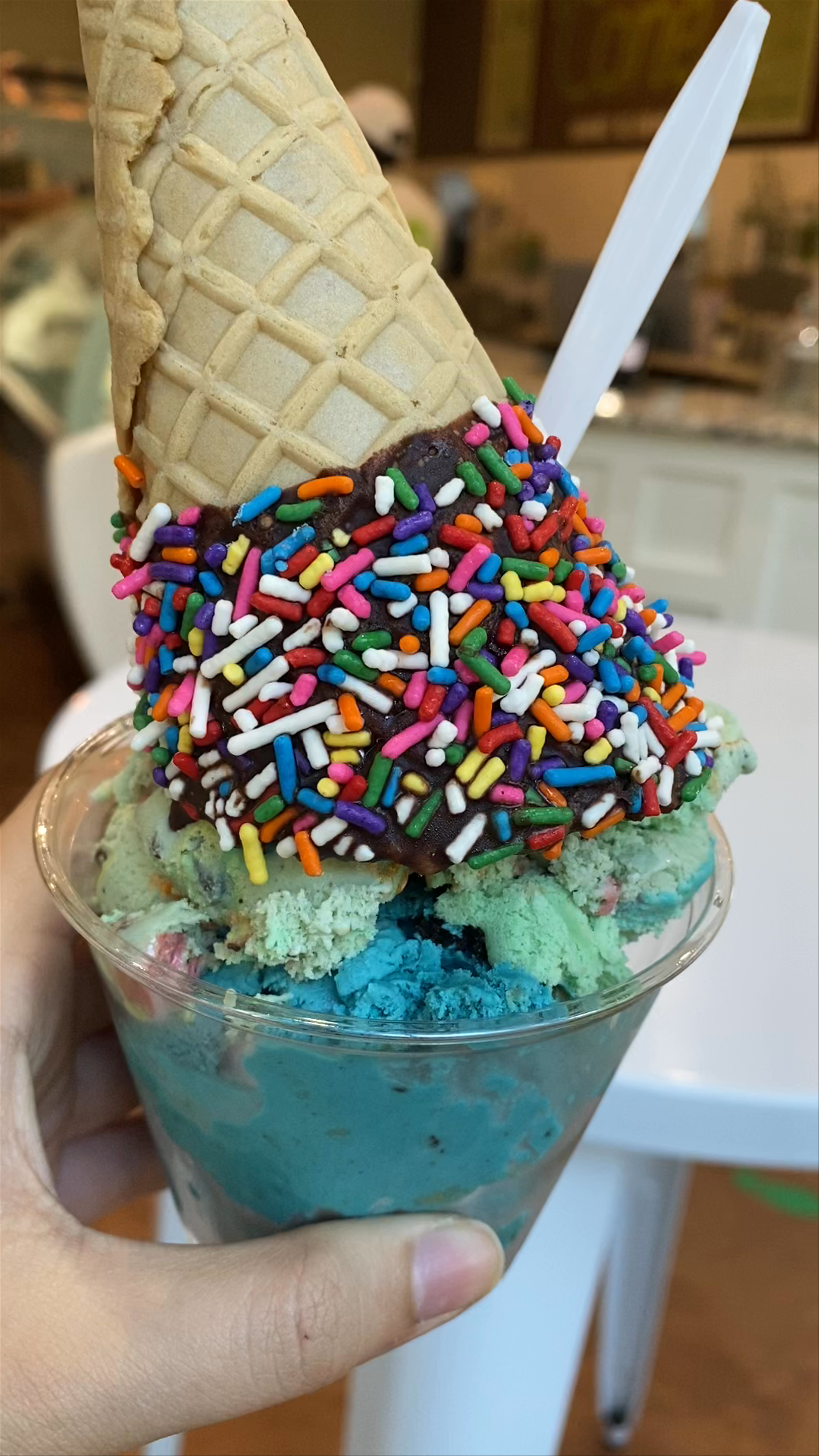 Cone Gourmet Ice Cream
