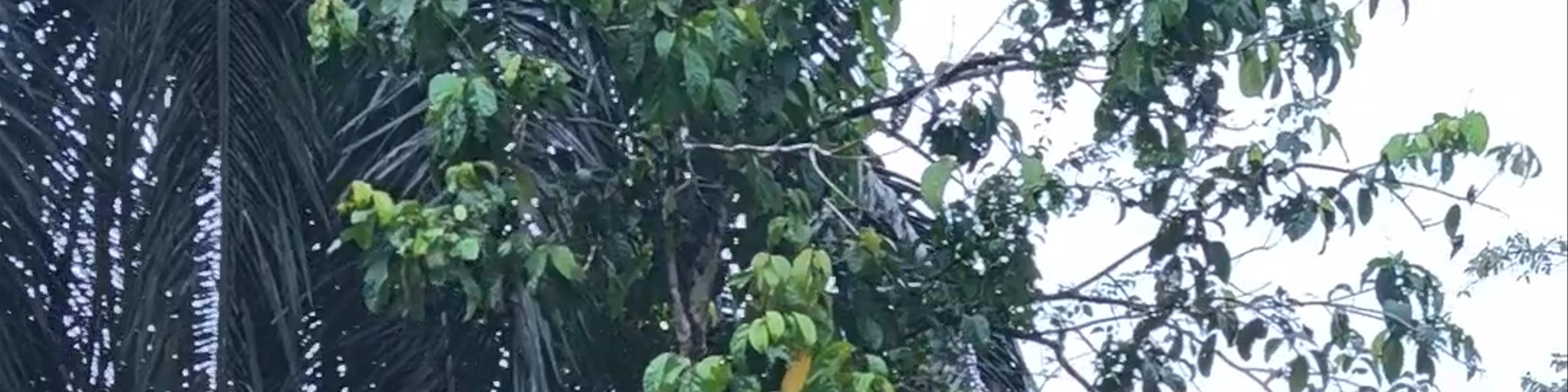 Malaysia