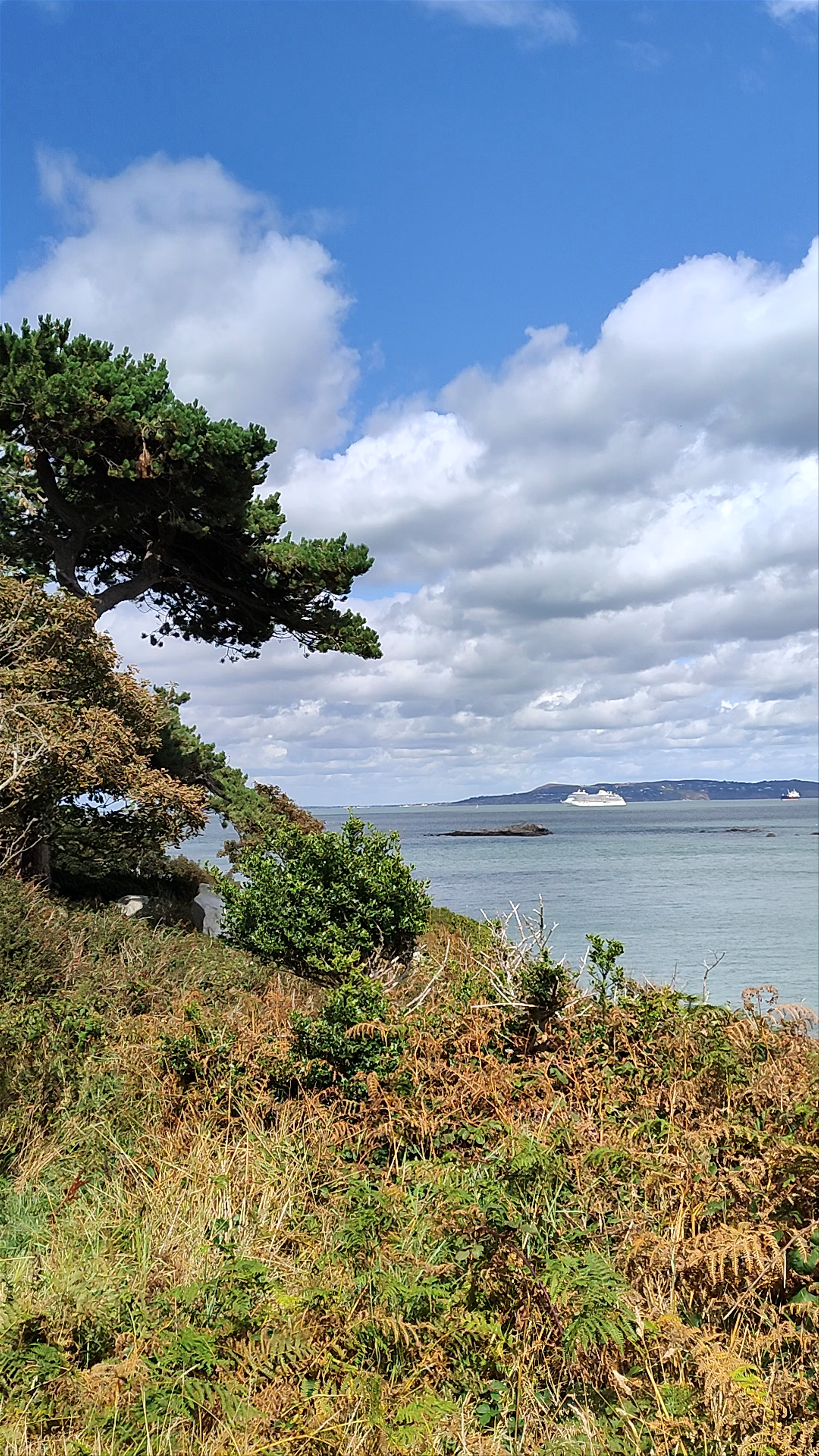 Scenic Coastal Views at Dillon's Park, Dalkey Ireland
