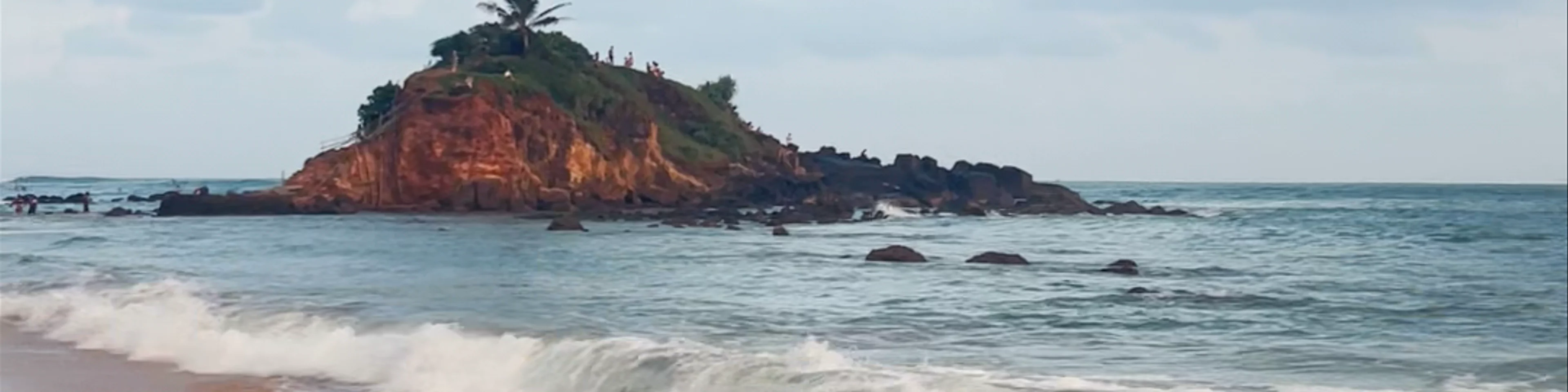 Parrot Rock