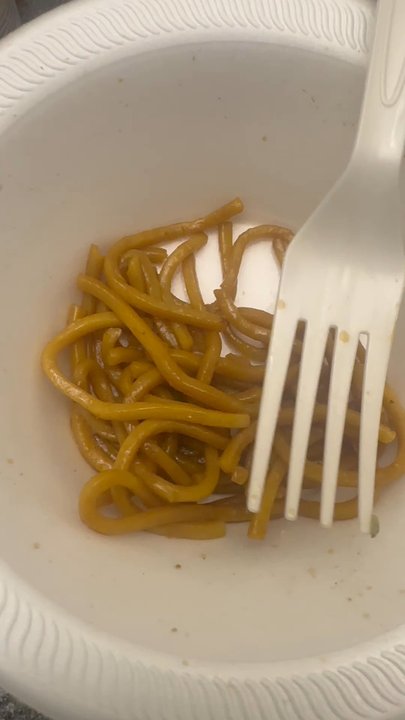 Yan's Cafe - Disgusting - Chinese Near Me - Alpharetta, Georgia