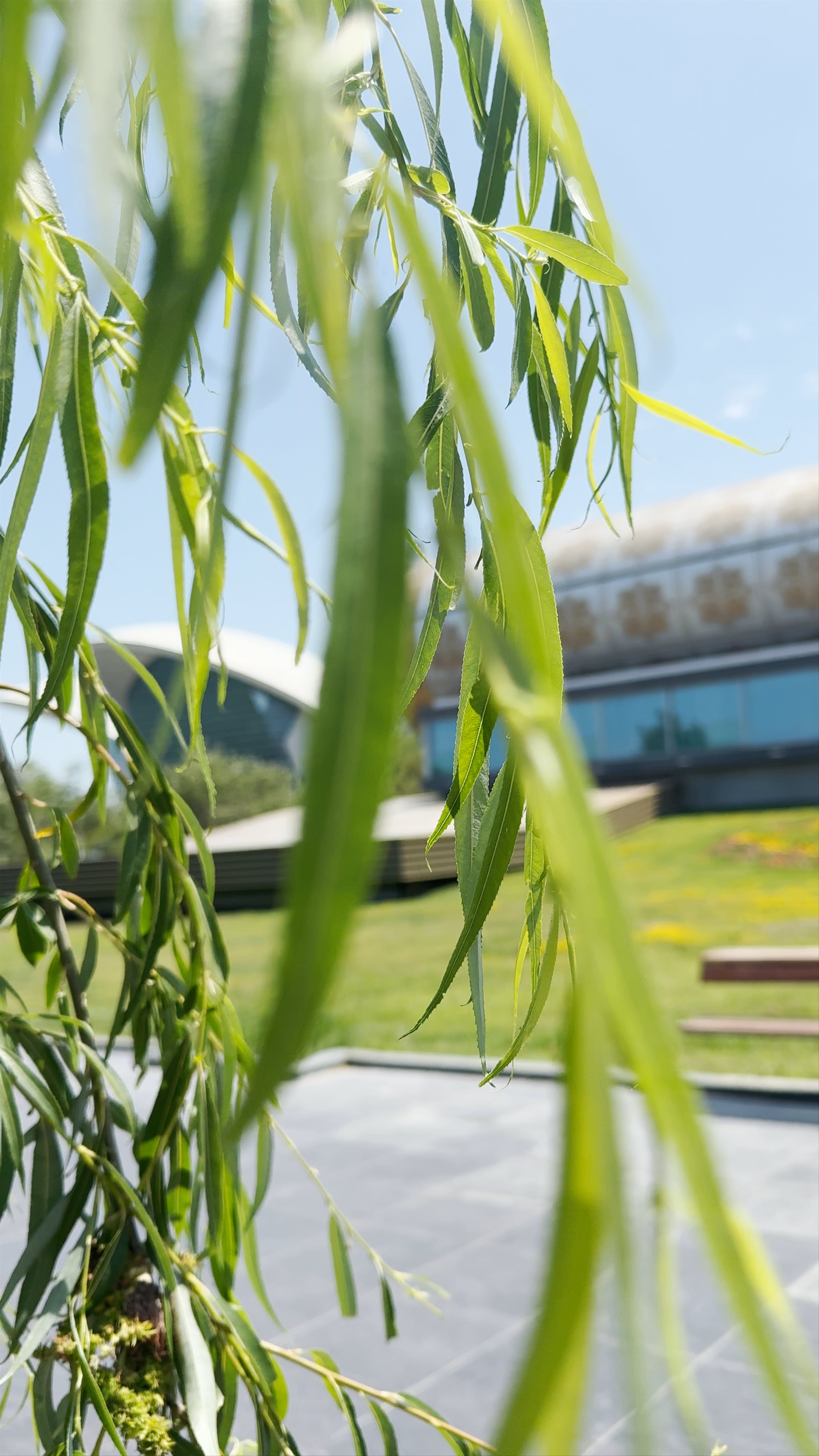 Azerbaijan Carpet Museum