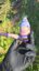 Small image 8