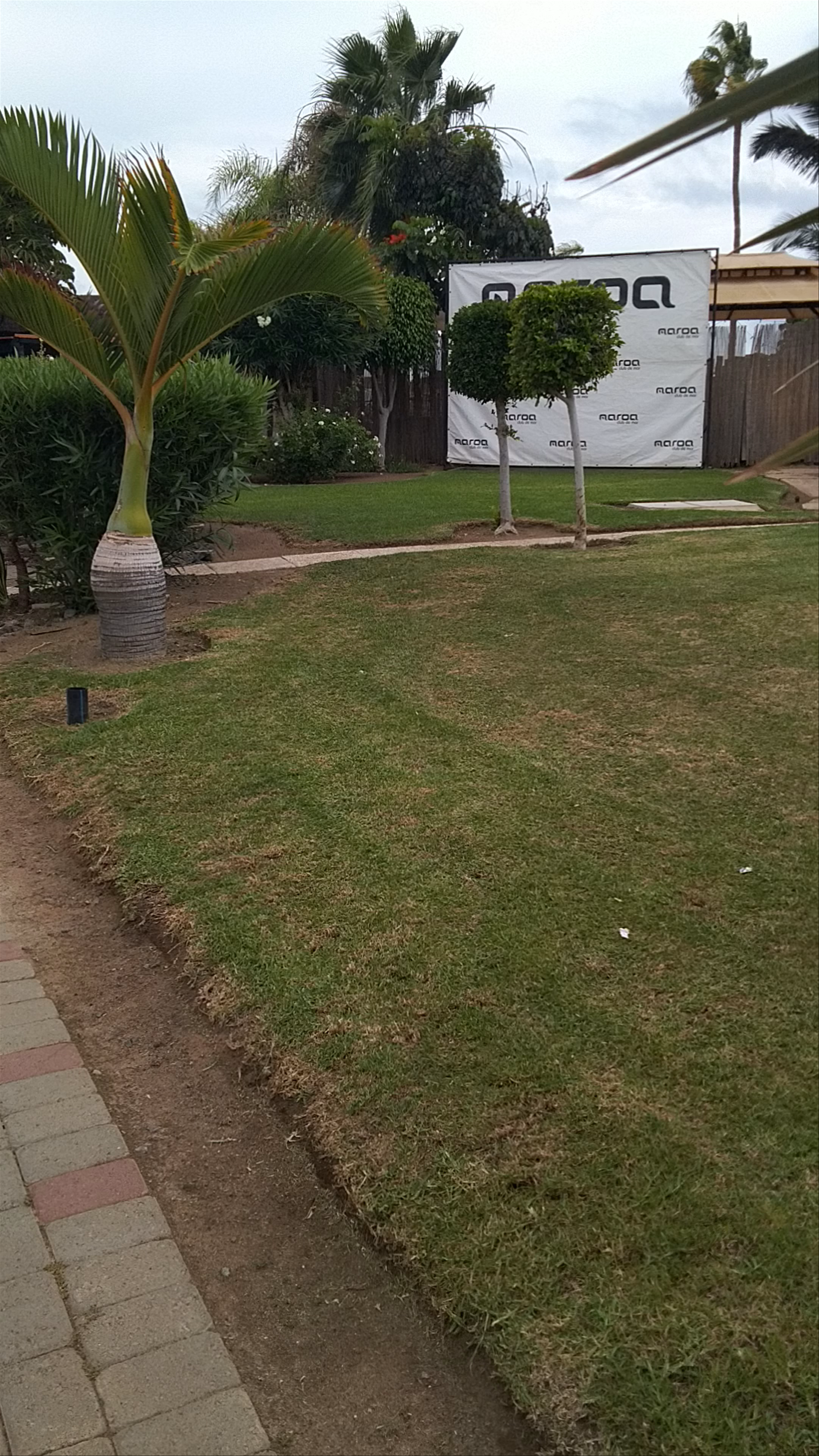Serene Garden Walk at Maroa Club de Mar, Arguineguín