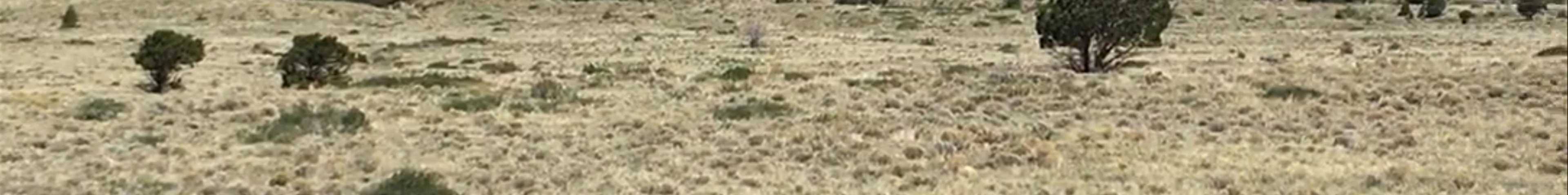 Tours & experiences in Alamosa