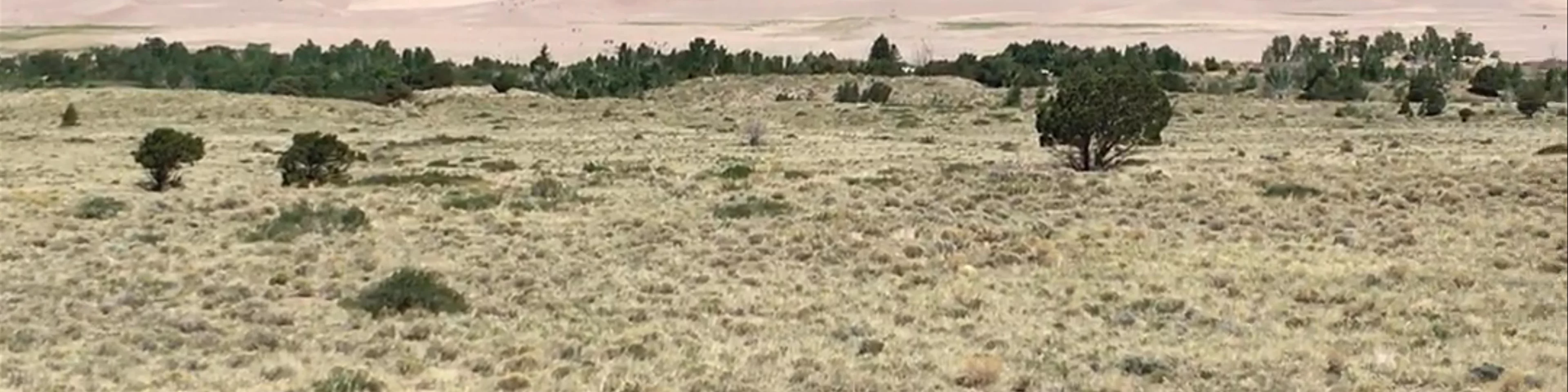 Great Sand Dunes National Park and Preserve