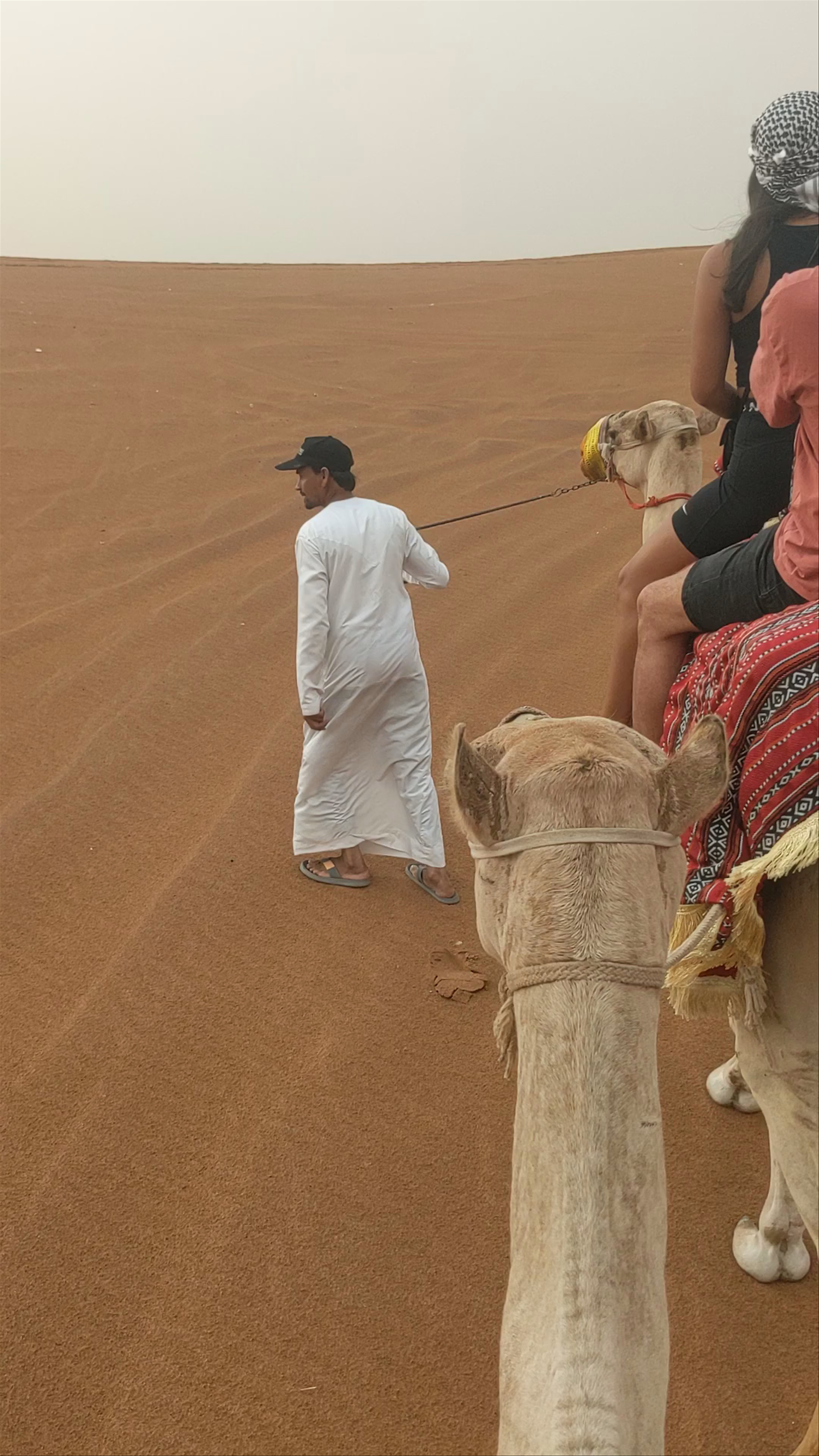 Dream Night Tour Dubai - Dubai - United Arab Emirates