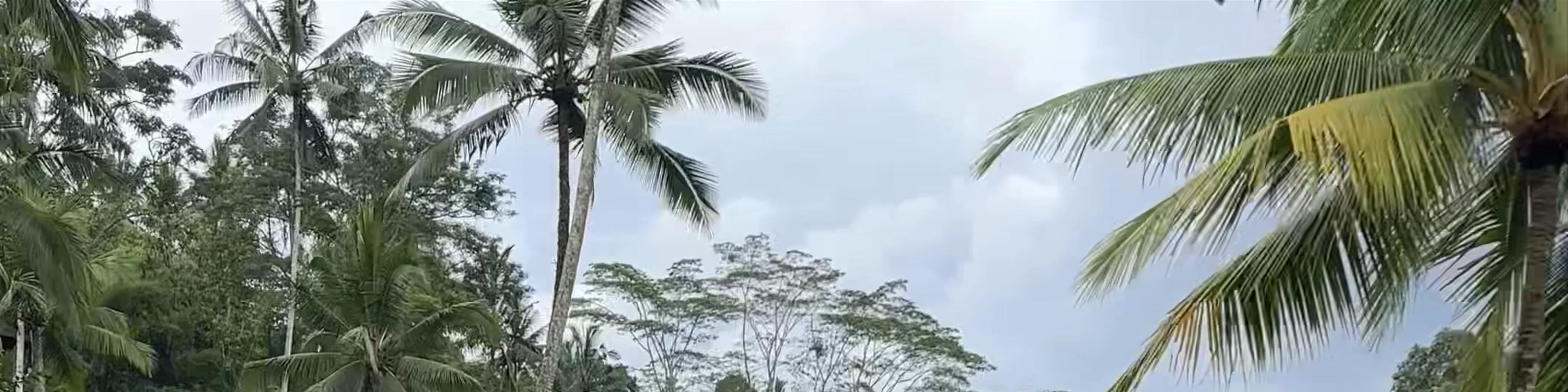 Cretya Ubud