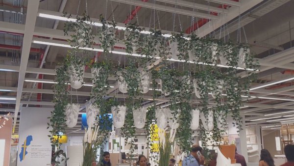 Photo of Ikea store plant set