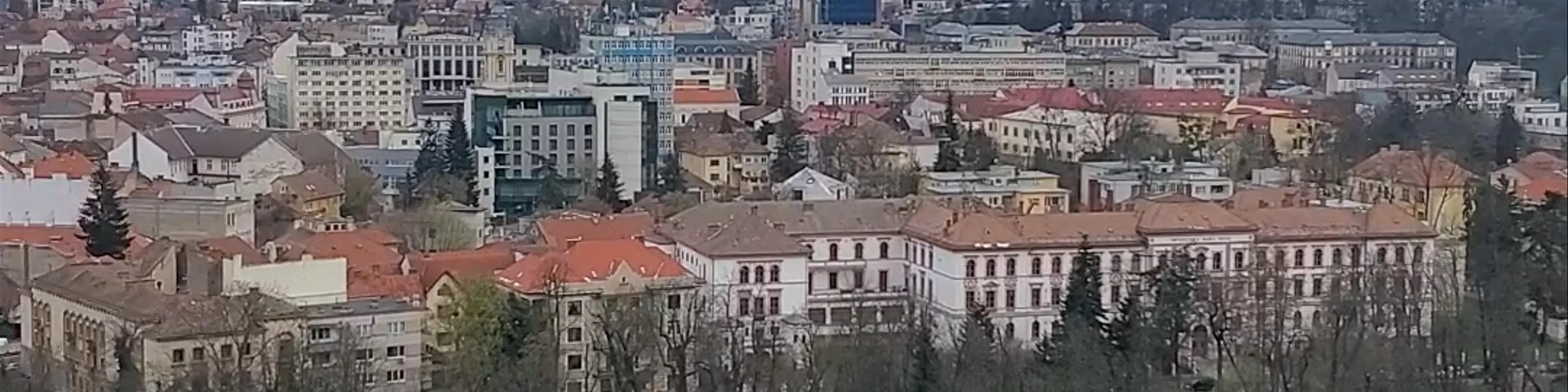 Parcul Cetățuia