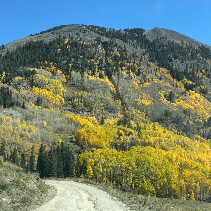 Last Dollar Road - Local Flavor Near Me