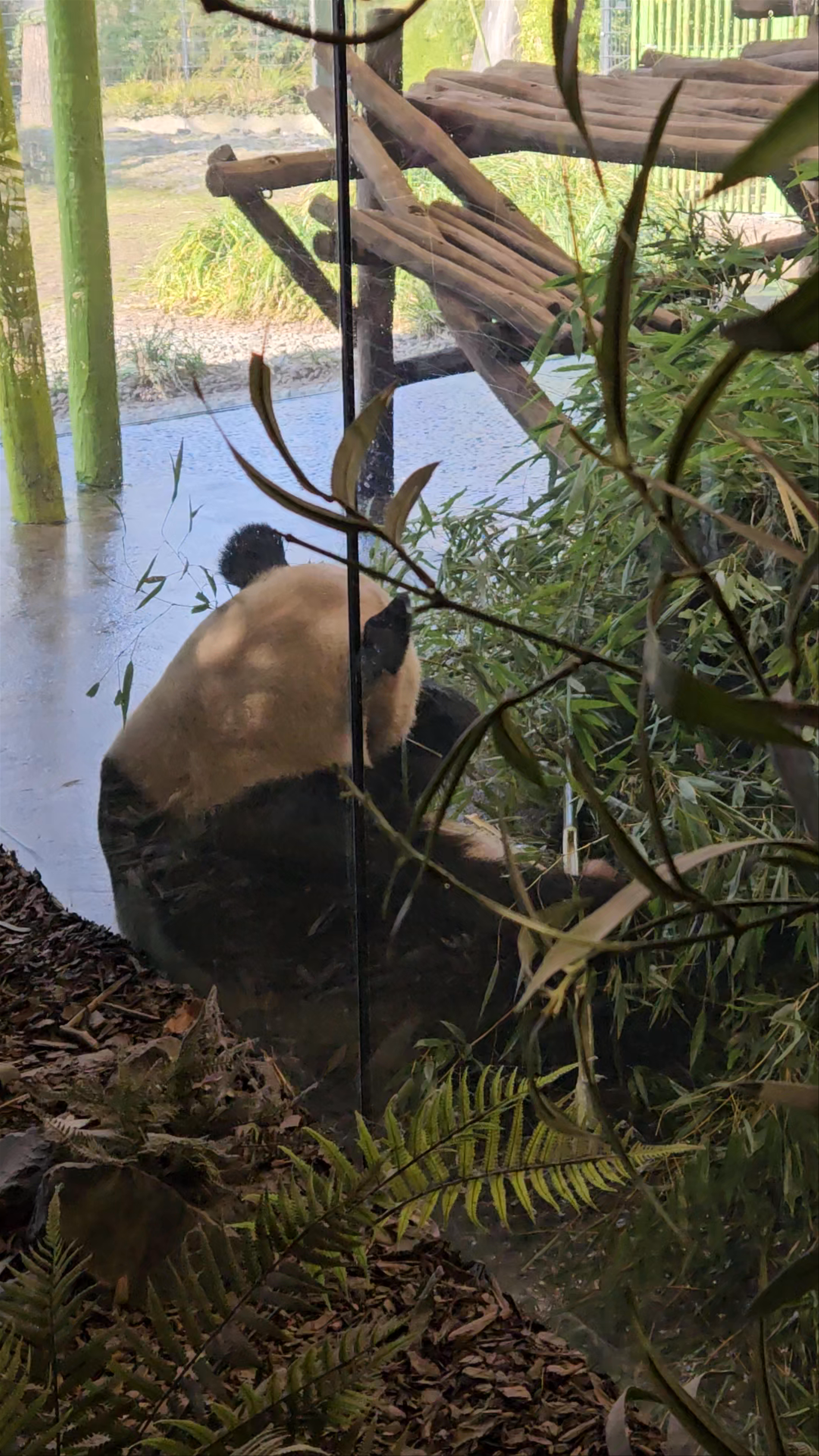 Berlin Zoological Garden