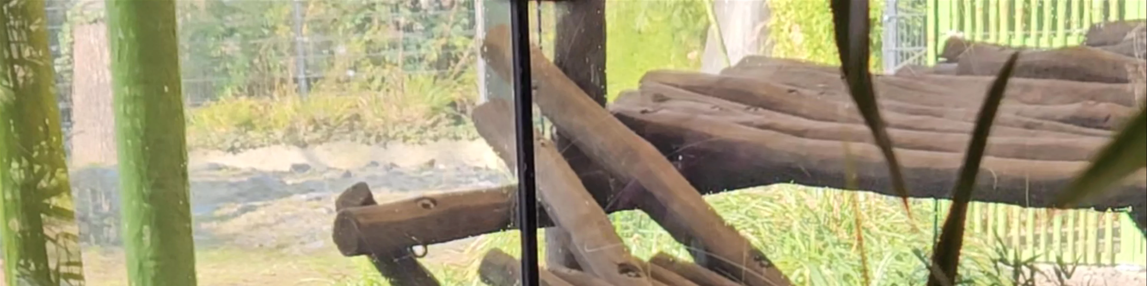Berlin Zoological Garden