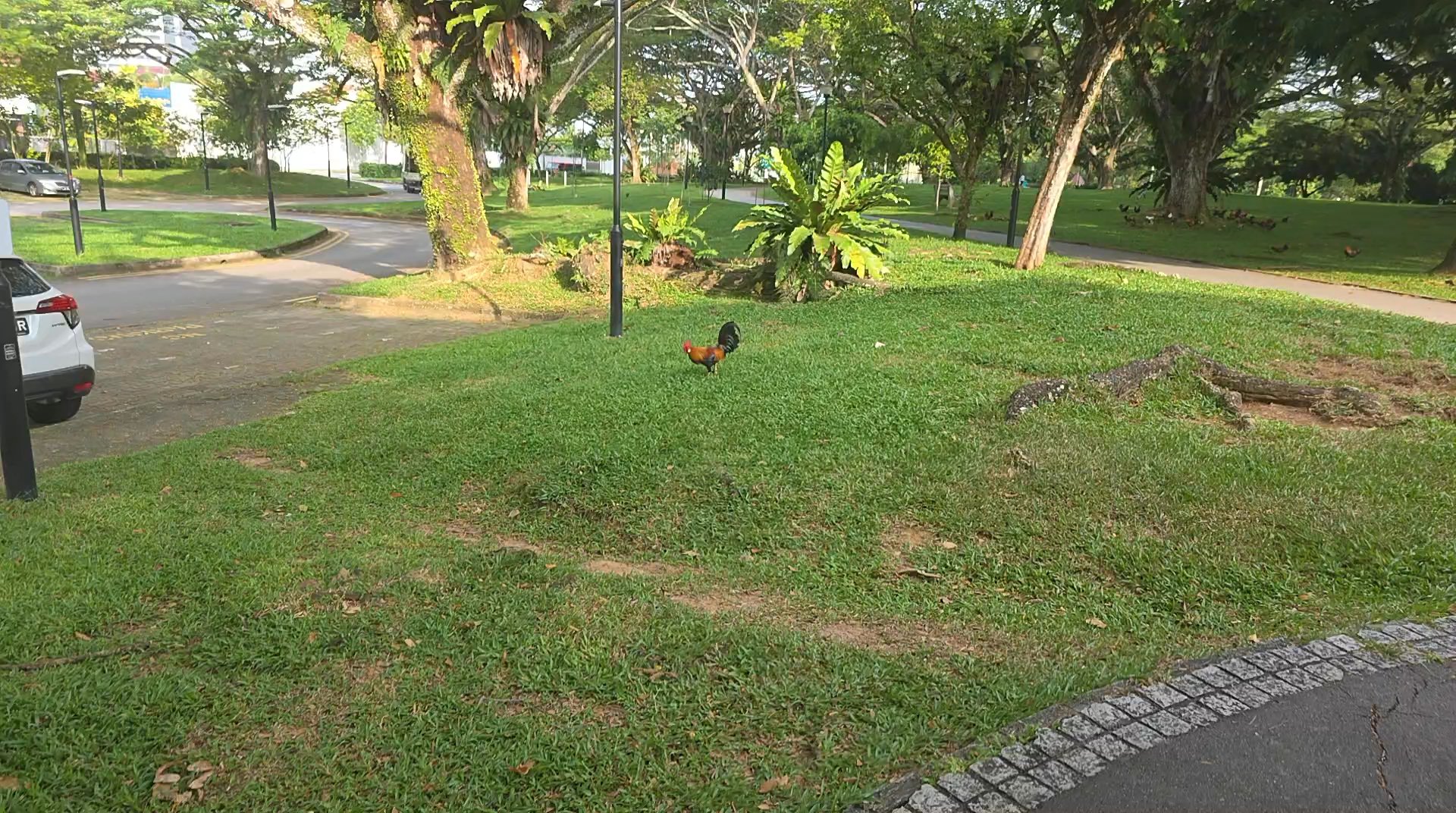 1 Bed Apartment (Condo) for Sale in  Icon - Image 9