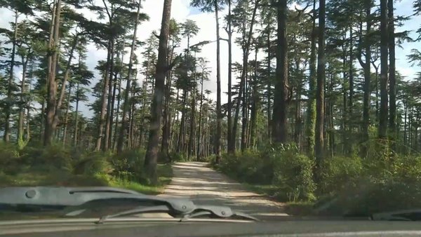 Photo of Lohaghat my Home Tow