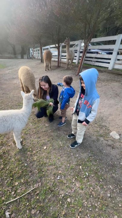 R2 Hillside Ranch - The baby alpaca - Ranches Near Me - Watsonville, California