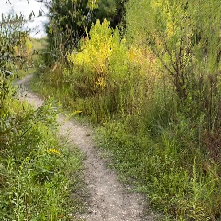Perico Preserve - Caution - Dirt trail can be muddy/slippery - Parks Near Me - Bradenton, Florida
