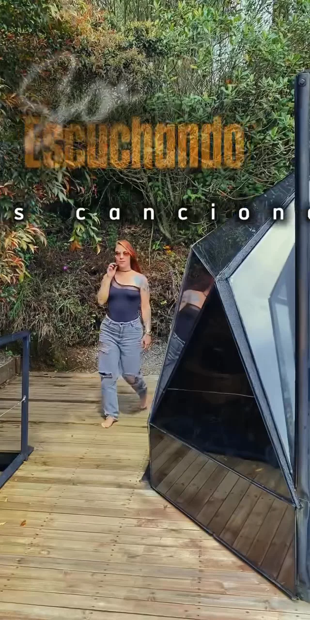 Contenido del creador