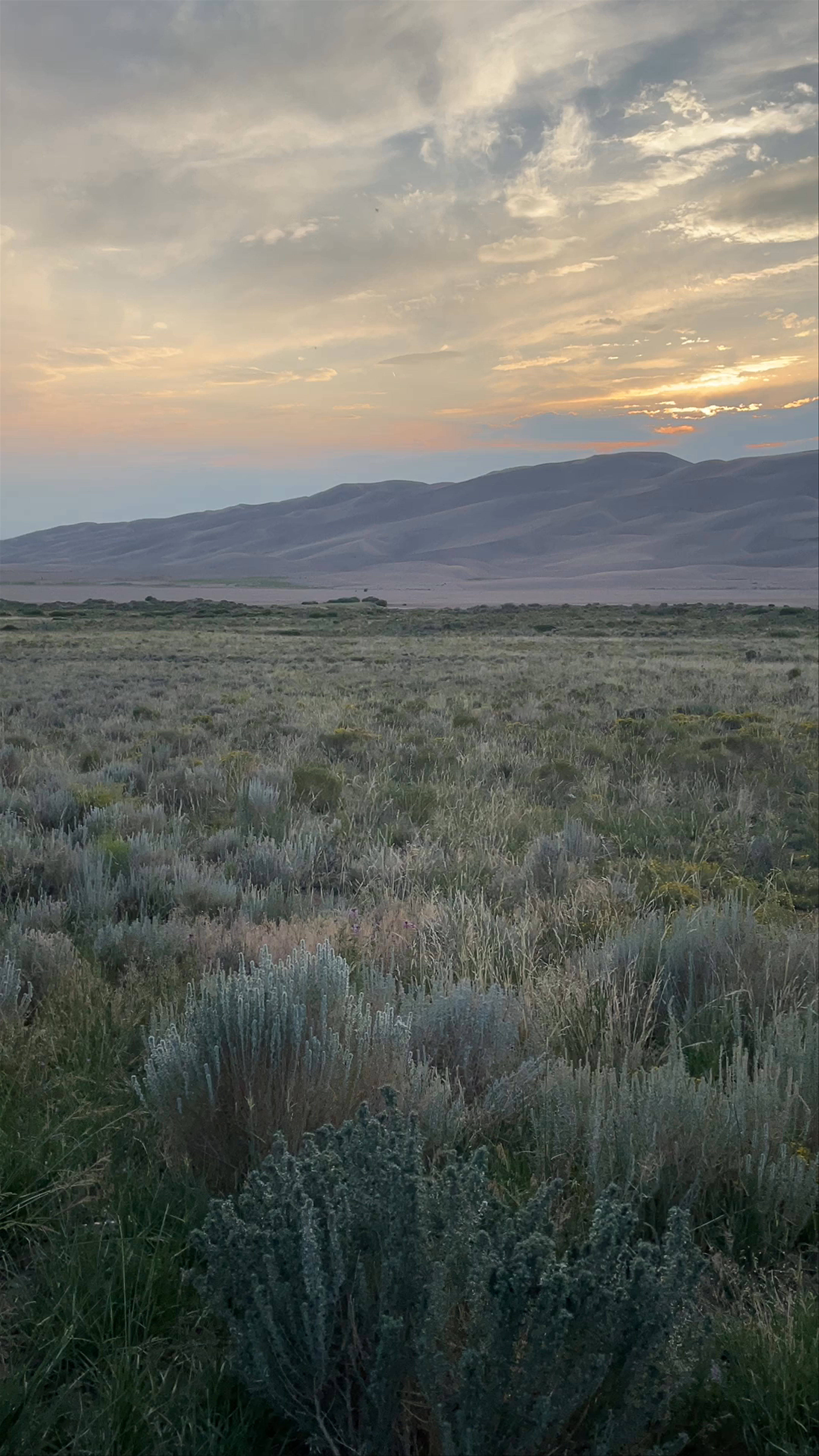 Great Sand Dunes National Park and Preserve