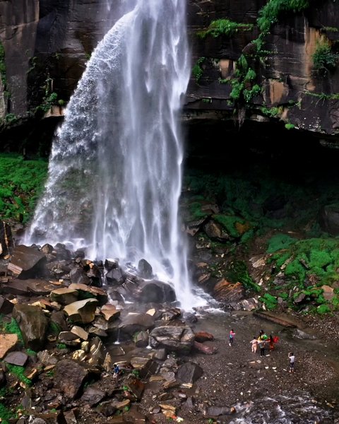 Photo of SINGLE CLIP VIDEOS b