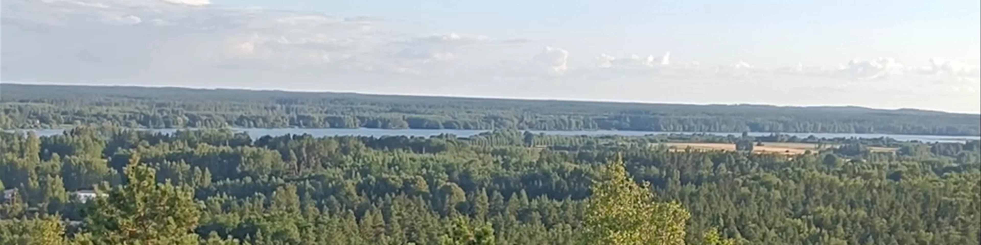 Ogres Zilo kalnu skatu tornis