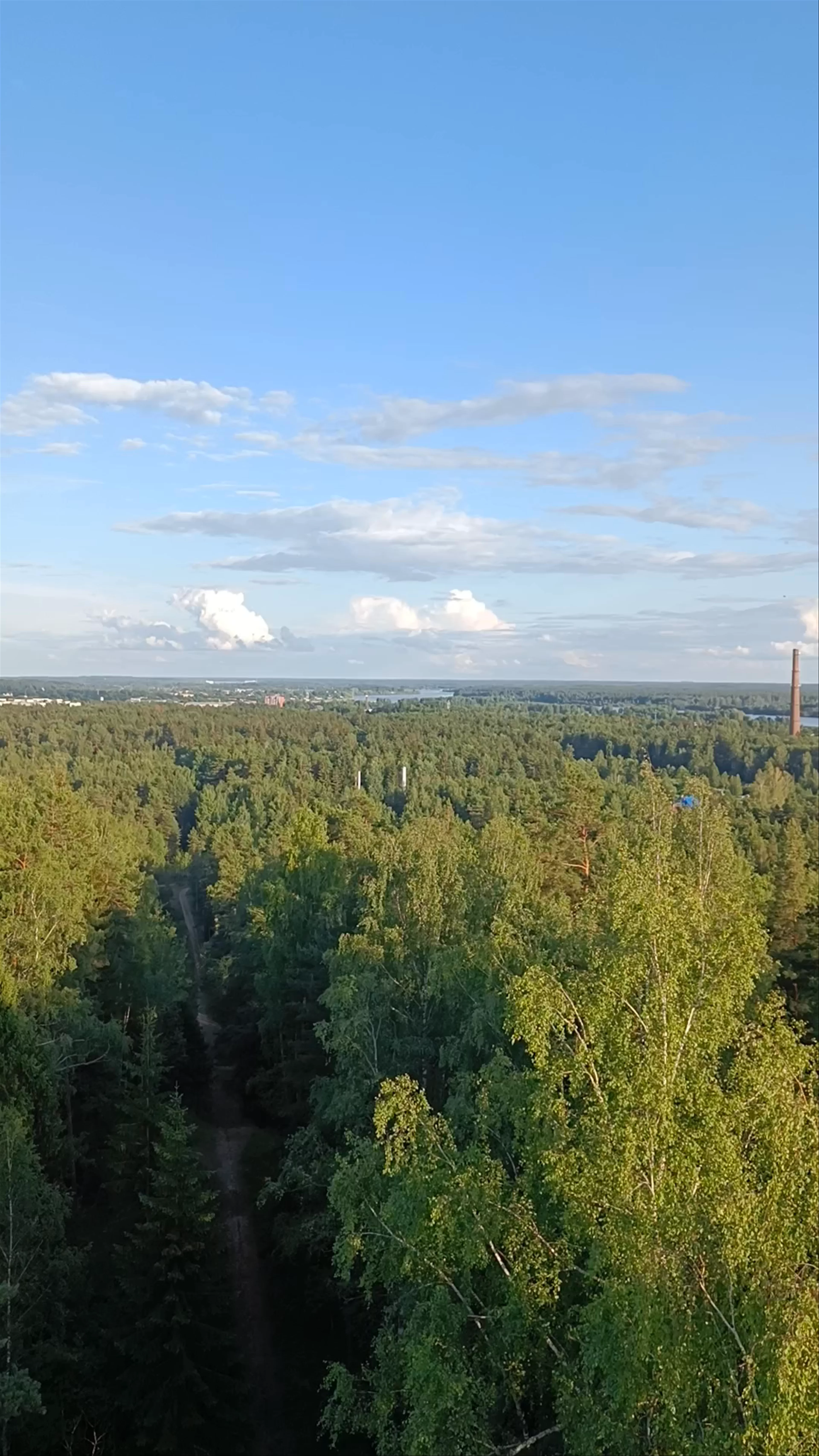 Ogres Zilo kalnu skatu tornis, Tīnūži Parish, Ogre Municipality, Latvia