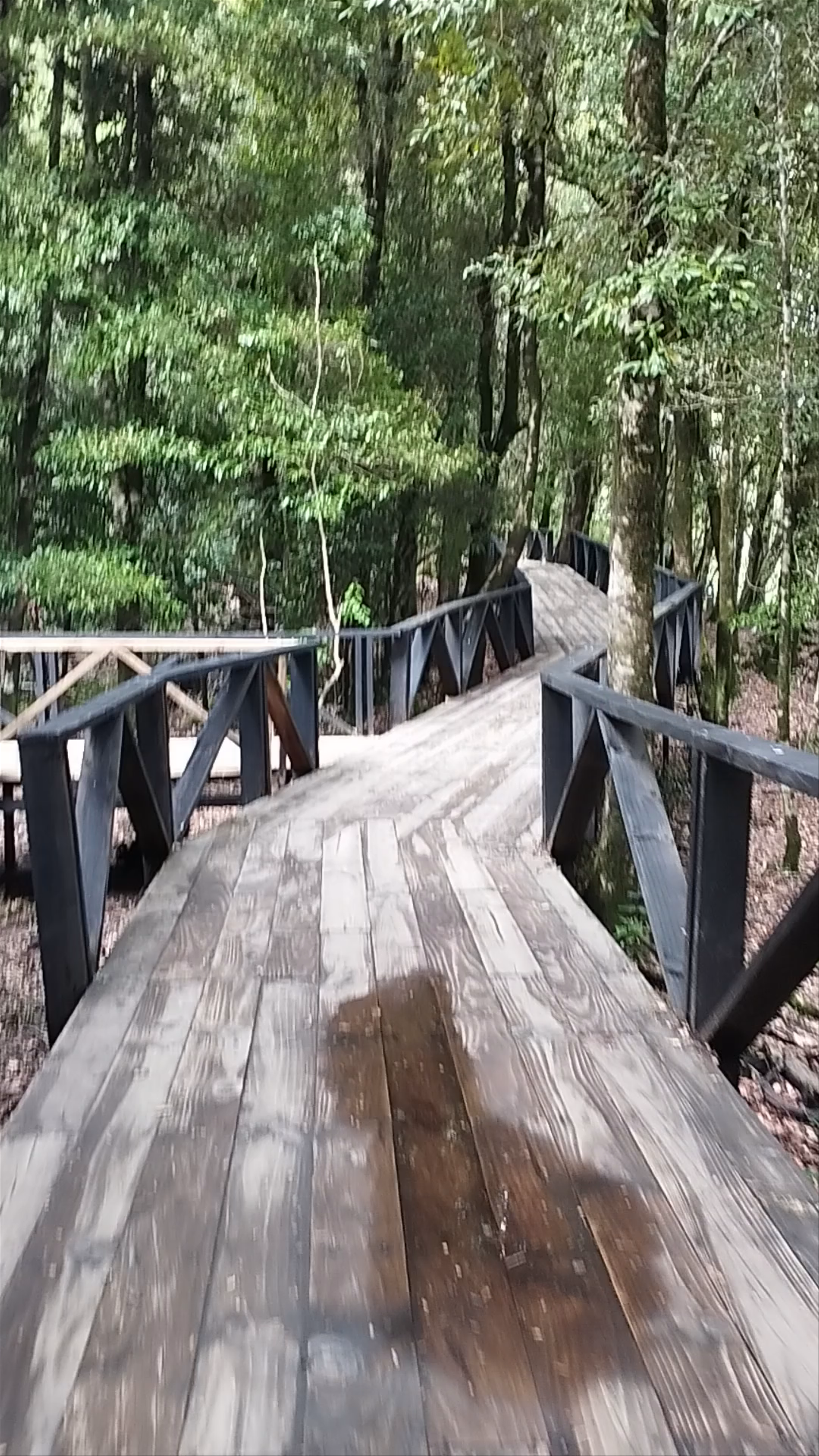 Huilo Huilo Reserva Biológica